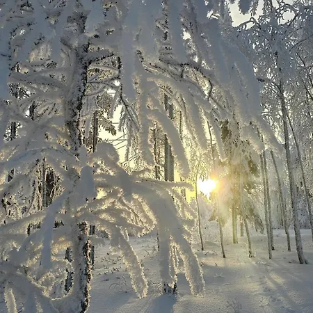 Arctic Hideway Near Levi Huoneisto *