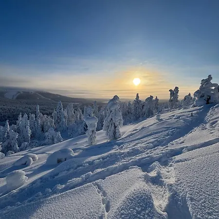 Arctic Hideway Near Levi Huoneisto Kittilä