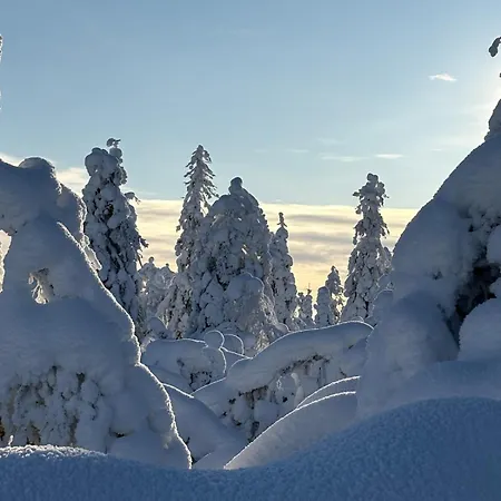 Arctic Hideway Near Levi Huoneisto Kittilä